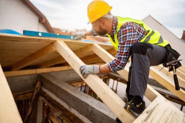 Best Roof Gutter Cleaning  in Whitewater, CA